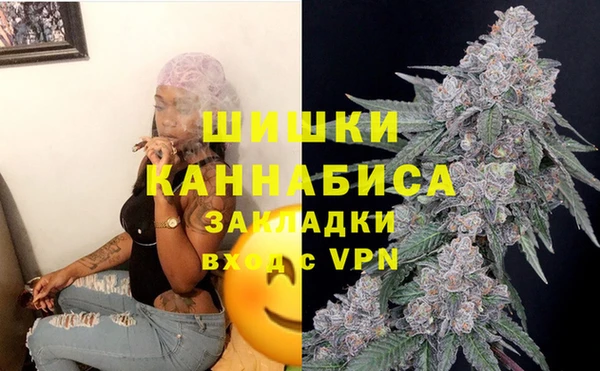 ПСИЛОЦИБИНОВЫЕ ГРИБЫ Бронницы