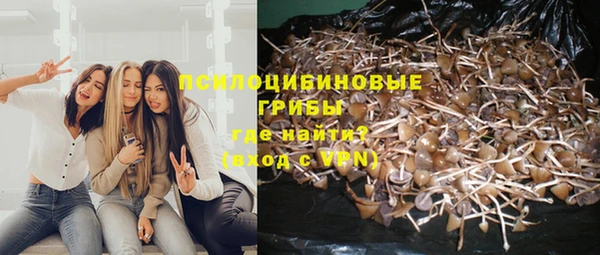 ПСИЛОЦИБИНОВЫЕ ГРИБЫ Бронницы