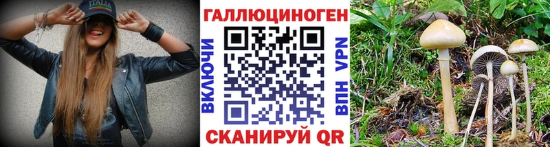 Псилоцибиновые грибы ЛСД  MEGA вход  Дмитриев 